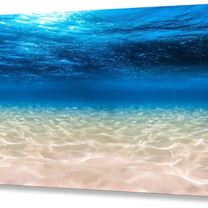 Print Artwork Blue Ocean Sea Wall Art Canvas Prints Picture Seaview Bottom View Beneath Surface Pictures Painting On Canvas Modern Seascape Home Office Decor XXLarge 30x60 inch